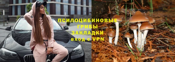 мяу мяу мука Балабаново