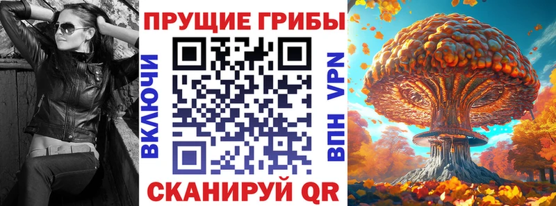 Купить закладки  Павлово  Галлюциногенные грибы Psilocybe 